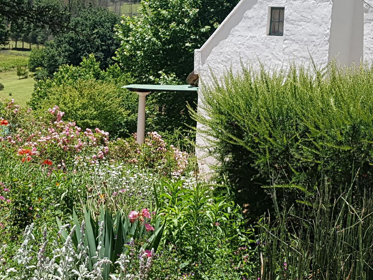 Rosebury Cottage Underberg Exterior foto